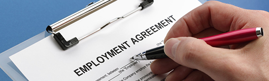 Employment Law